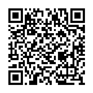 付姨娘出身什么的哪里是你一个小辈可以议论的二维码生成