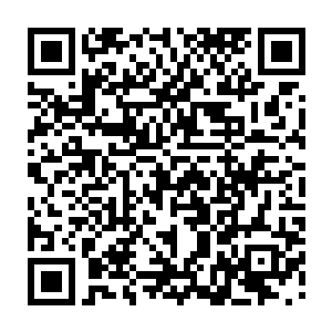 仙界中还是有几件先天至宝能遮掩你破巫王之鼎重塑时引起的天地气机变动的二维码生成