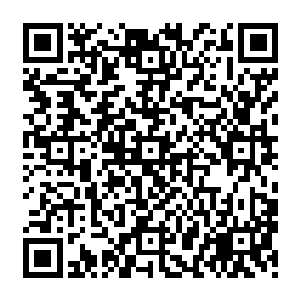 仙龙座t9的涡轮蒸汽热回收外燃发动机的轰鸣声就在金海城的海滨大道上响彻了起来……二维码生成