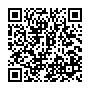 代离好不知羞得给自己按了一个大气闺秀的身份二维码生成