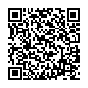 代离走出房门的时候看到了蹲坐在小板凳上得林之落二维码生成