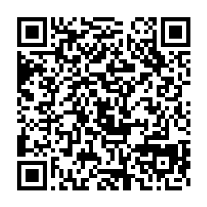 代离这种活了五百年的吸血鬼委实是没法跟青君这些掌握偌大宗门二维码生成