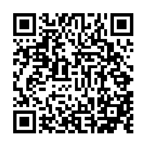 代表他电力总量的那个圆圈总算充到了三十六分之一的绿格二维码生成