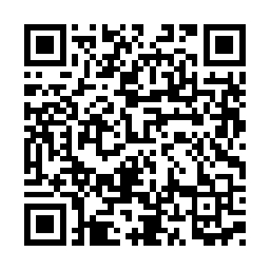 令主可否让老夫见识一下这能够灭杀海兽的灵植二维码生成
