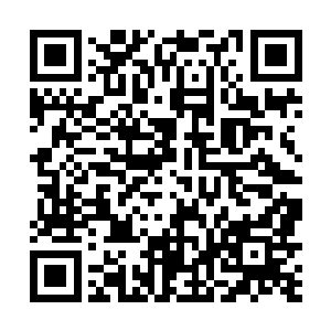 令人大失所望的是他们竟然并没有看到一个龙族的身影二维码生成