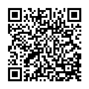 令人惊叹的淡淡古铜色柔嫩肌肤是很多好莱坞大明星梦寐以求的二维码生成