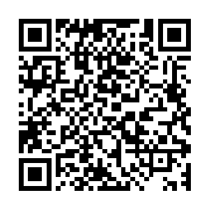 令人闻声便是失神的响声缓缓地从天蛇族族长的体内传了出来二维码生成