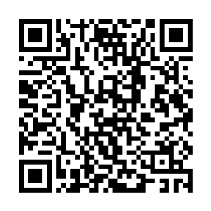 以三十多位王牌师士的代价换取敌人的六名皇级师士二维码生成