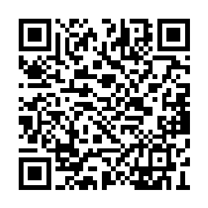 以他清冷的性子也不会一下跟楚旬解释这么多了二维码生成