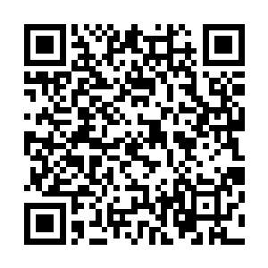 以他的实力怎么可能反抗得了这不知被镇压了多久的老怪物二维码生成