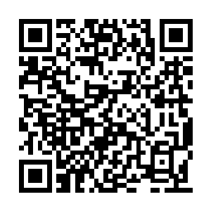 以前他只明白要进阶就要不断的点燃身体的明点二维码生成