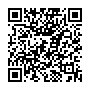 以前在他眼中是高不可攀的人物竟然如此客气的和自己说话二维码生成