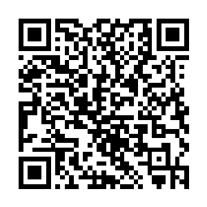 以前我的梦想是带着自己的老婆们回到我的老家生活二维码生成