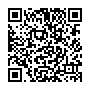 以前昏迷的时候都是太医或者他们几个人为他换衣服二维码生成