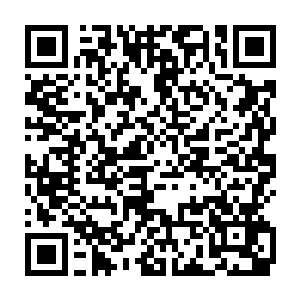 以前死去的那些修士都是一步一步的钻进了这长风妖王的套路里啊二维码生成