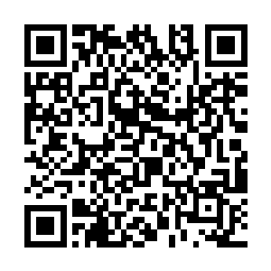 以及主持阵眼之人难以承受庞大力量汇聚带来的压力二维码生成