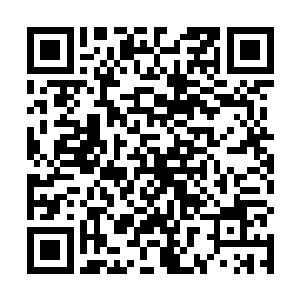 以及困扰自己几乎要化作心魔的僵尸本身以及起源之谜二维码生成