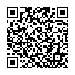 以及国家从事演艺经纪代理等各种相关手续的复印件二维码生成