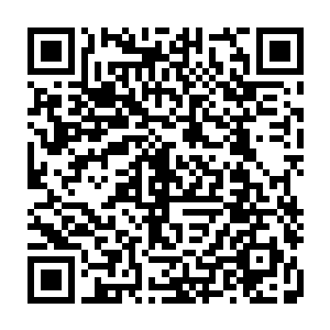 以及拥有强大战力的禽皇和周御龙这先天乙木剑阵的辅助给生生阻拦了下来二维码生成