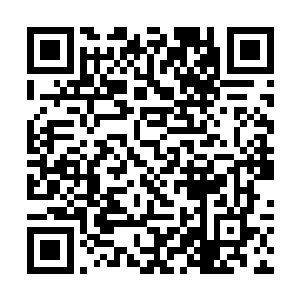 以后再想让她好好地学习刺绣和音律那就更不可能了二维码生成