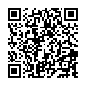 以后每天都要多吃点新鲜的蔬菜来维持身体所需的平衡二维码生成