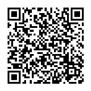 以圣王的实力就敢从已经达到圣皇五重天境界的青怡轩手中枪东西二维码生成