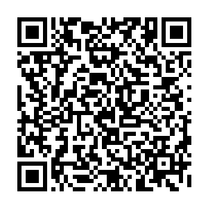 以大圣域四重天的修为再加上已经将战神血脉掌握到了极为高深的一个境界二维码生成