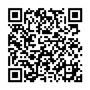 以它本身长着一张娃娃笑脸与周身散发萤光而得名二维码生成