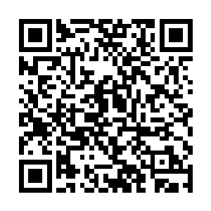 以异形的攻击力量根本都无法破开这变异猴王的防御二维码生成