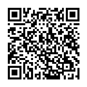 以往要好几天才能多一百关注一下午就多了快一百人二维码生成