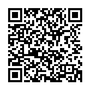 以我们仙帝境的修为实在是难以窥视这等层次的天机二维码生成