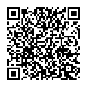 以斯科拉的身份还没有资格直接拨通马里奥自己随身携带的私人手机二维码生成