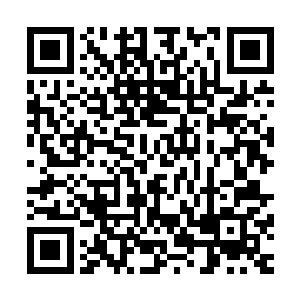 以极快的速度朝着那些被雷电力量麻痹的金属性妖兽重重轰去二维码生成