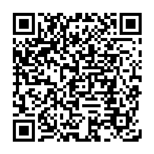 以楚暮那强大得不像话的灵魂力量也无法承受这一股瞬间冲击而来的信息洪流二维码生成