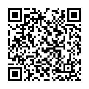 以燕无双的手段黑寡妇肯定不可能全须全尾地回来二维码生成