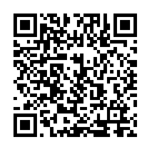 以至于我在中层这里破坏了好几座困扰修士们的仓库大门二维码生成