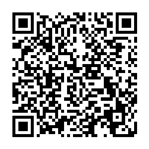 以超卓的计算力模拟楚之晓过去一点一滴为蜘蛛战车培养出来的交互习惯二维码生成