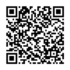 以迅雷不及掩耳的速度把原本已经停稳的骰子再给拨动一下二维码生成