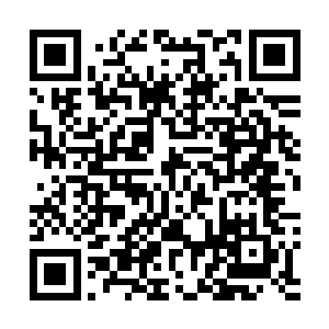 以迪亚波罗此刻的修为想要动用这种手段也依旧极为吃力二维码生成