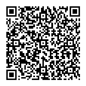 以那金发男子和黑发男子为首的近四十个不朽强者也赶到了楚旬等人之前所在的这片沙丘之上二维码生成