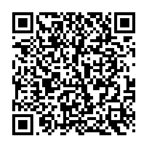 价值根本不是简单的金钱可以衡量的……可秦方随手就送了一枚贵重的丹药二维码生成