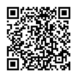 任何一个在金枪鱼方面有着出色表现的人总会引起无比关注的二维码生成