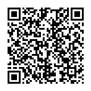 任何的嘲笑与试图攻击这些土人独木舟的举动都会引来他们狠狠的攻击二维码生成