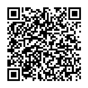 任何的阵法我都尽量达成守林人师父只讲一遍我就可以铭记于心的效果二维码生成