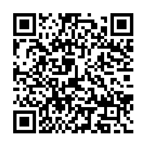 任凭把前面一部收视率一般的电视剧38集缩剪成2o集草草播完二维码生成