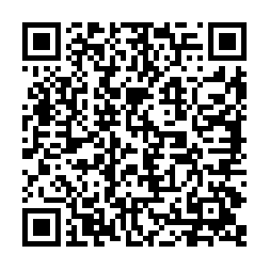 任务只给了一块令牌流墨墨只好让温宝儿变回原型把她收入了自己的袖中二维码生成