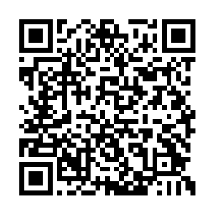 任天凡没有想过小鹰王和江逸会追杀来神阳秘境二维码生成