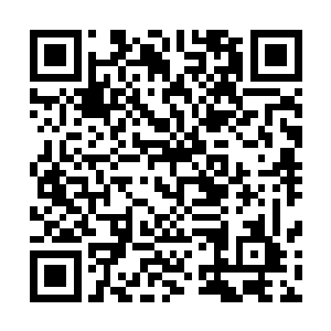 任由他们施展出威力比大邪龙剑还要强横的剑法也无济于事二维码生成