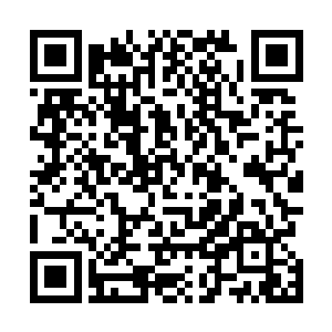 仿佛一头发狂的野狗一般疯狂的朝着杨戬的身边飞扑而来二维码生成