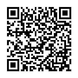 仿佛下一刻就有锋利的爪子从那双眼睛里伸出来二维码生成